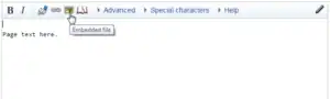 "Embedded file" icon