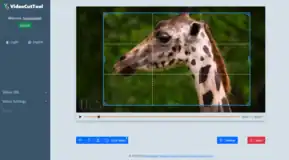 VideoCutTool
